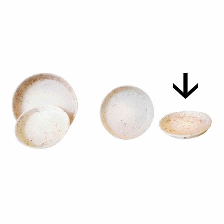 特価◎花LINKS/ファイバーセメント 受け皿/YP24WH