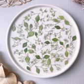 【ドライ】m flowers/押し花 カラミンサ ミニ