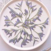 【ドライ】m flowers/押し花 ハイブリッドスターチス サフォラ