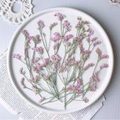 ドライ】m flowers/押し花 ハイブリッドスターチス ピンク - 花材通販