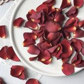 ドライ】m flowers/バラの花びら 赤 ドライ - 花材通販はなどんやアソシエ