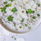 ドライ】m flowers/押し花 ホワイト×グリーン 詰め合わせ 36輪 - 花材