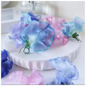 ドライ】m flowers/スイートピー 着色 ミックス ドライ 12輪 - 花材