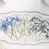 即日☆【ドライ】m flowers/押し花 かすみ草 3色アソート ハッピー