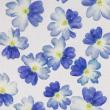 【ドライ】m flowers/押し花 バーベナ ブルー 25輪