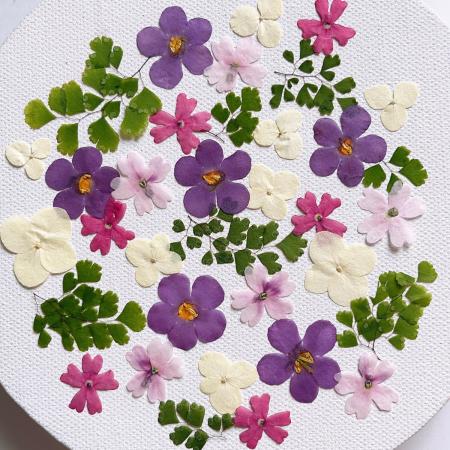 【ドライ】m flowers/押し花 小花 ミックスピンク系