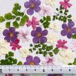 【ドライ】m flowers/押し花 小花 ミックスピンク系