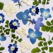 【ドライ】m flowers/押し花 小花 ミックスブルー系