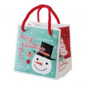 HEADS/クリスマスミントブルーキューブバッグ-2(20枚)/XMB-2B - 花材