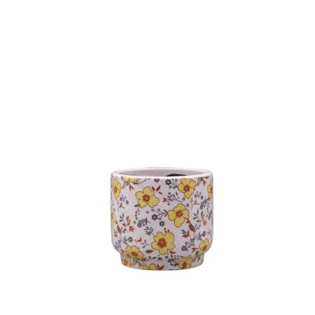 DELLKI/ベーネ サークルストレート A-YE/HA04YE
