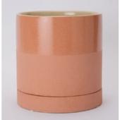 FARM/エドラ16 P/40062H - 花材通販はなどんやアソシエ