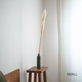 ドライ】土と風の植物園/パンパスグラス Lサイズ/dry-107-l - 花材通販