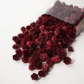 即日★ホワイエ/マテリアルミニミニコーン RED 50コセット/8400561