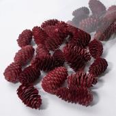 ホワイエ/マテリアルロングコーン 12コセット/8400556