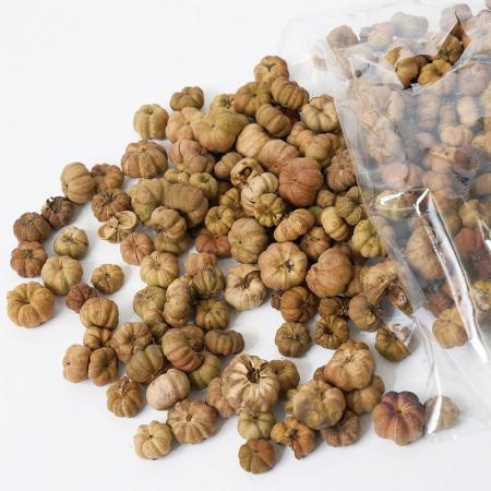 特価◎【ドライ】ホワイエ/RMプッカポッド 約100g/8900087