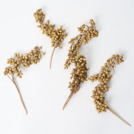 特価◎【ドライ】ホワイエ/RMキャネラベリー ナチュラル 4本入り/8900091