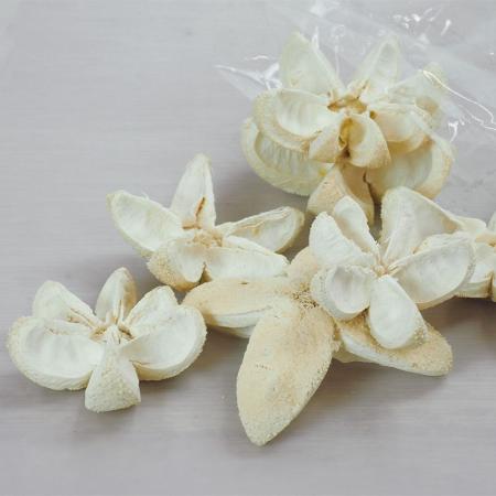 特価◎【ドライ】ホワイエ/RMバレットフラワーブリーチ 約10個セット/8900093