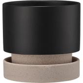 即日☆グリーンポット/パラドック トール ブラック 22cm/HO-2322BK