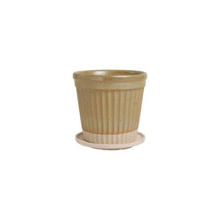 ミュールミル/ライン黄S/BJ-042SYe