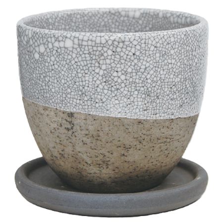 特価◎丸滉製陶/3号  丸深 受皿付/MSK-03-KW