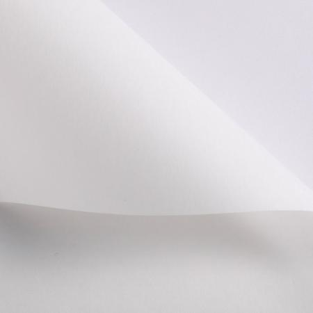 特価◎秦貴/風華 NO.16 ホワイト