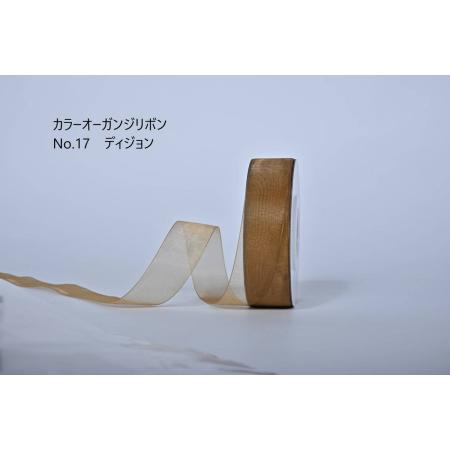 特価◎SHINKI/カラーオーガンジーリボン 38mm NO.17 ディジョン