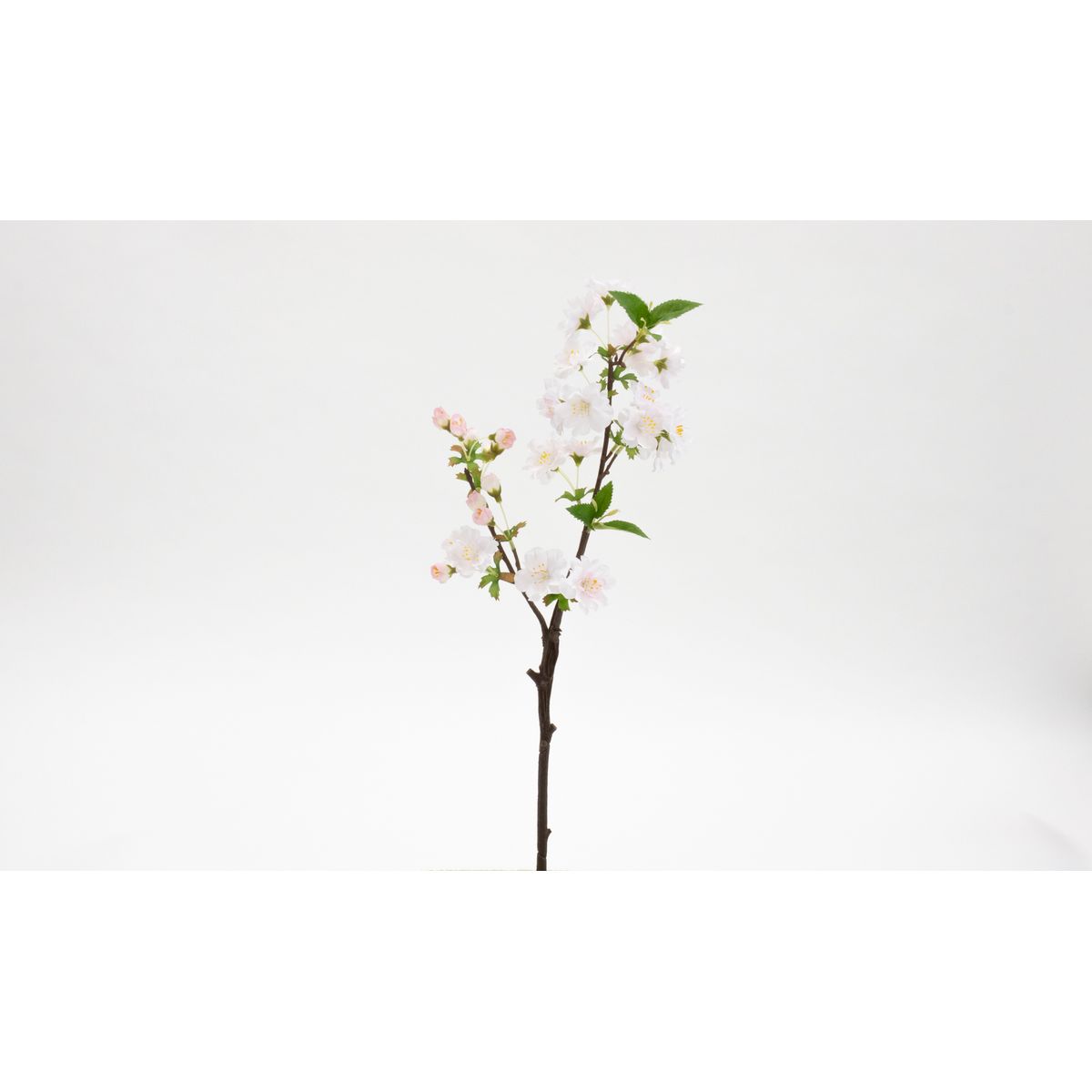 特価◎【造花】ビダヤコム/朱雀桜小枝 ピンク/V24046-002P