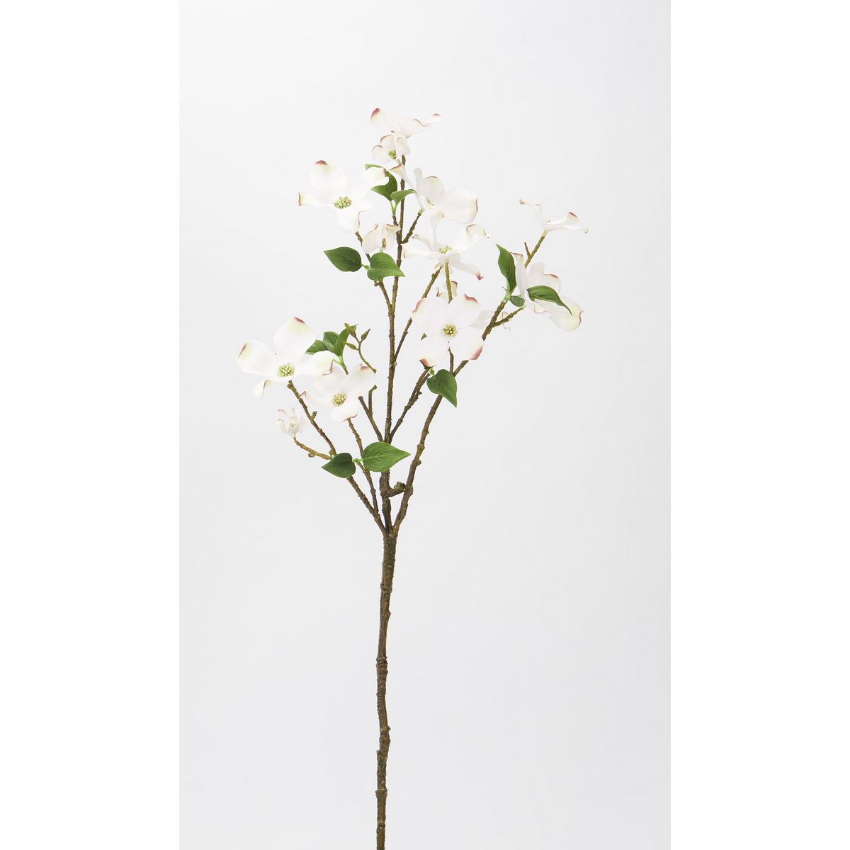 特価◎【造花】ビダヤコム/花水木 クリーム/V22051-037C