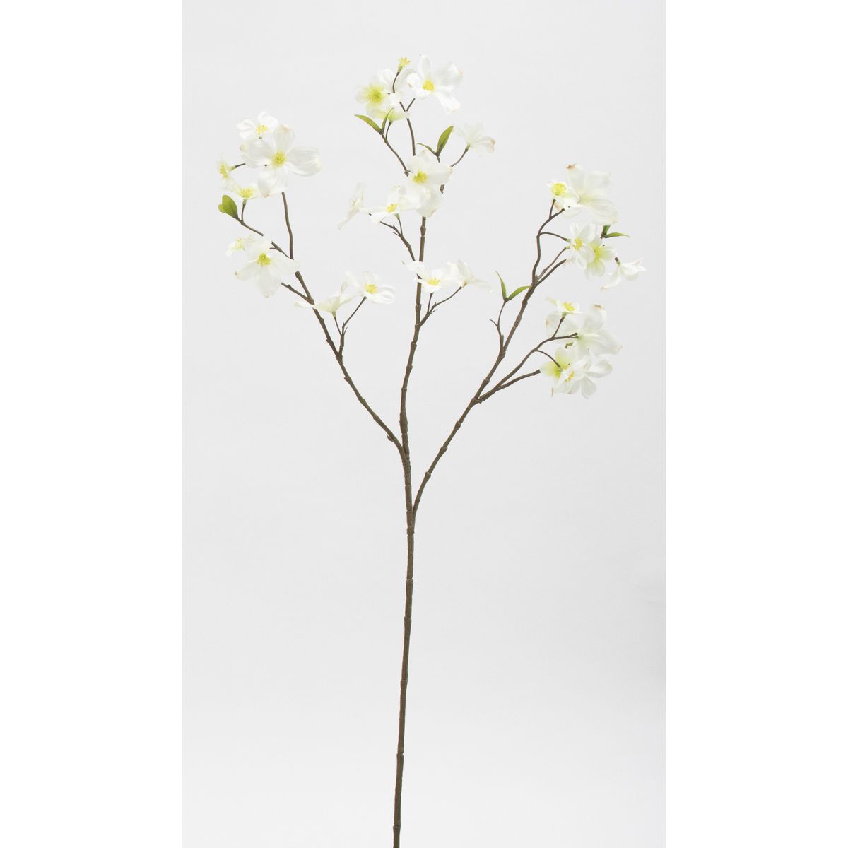 特価◎【造花】ビダヤコム/花水木 ホワイト/V24125-001W