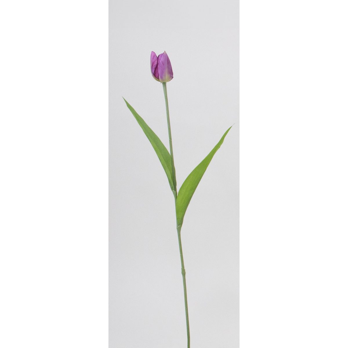 特価◎【造花】ビダヤコム/チアリーチューリップ フーシャ/V25027-044FUC