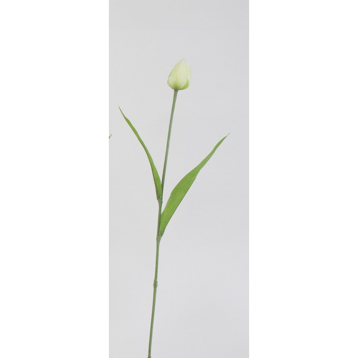 特価◎【造花】ビダヤコム/チアリーチューリップ ホワイト/V25027-001W
