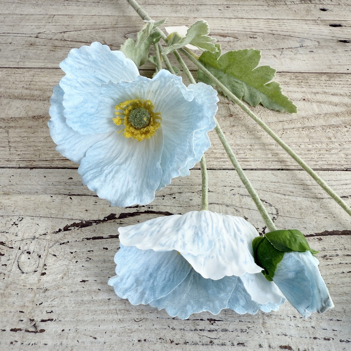 アウトレット◎即日★【造花】ビダヤコム/パステルポピー ライト/ブルー/V25094-035LT/B