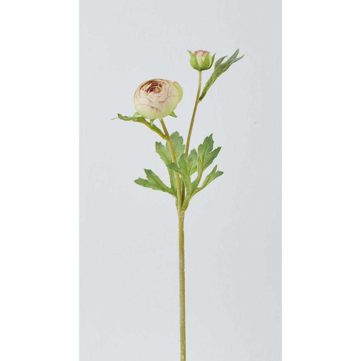 特価◎【造花】ビダヤコム/ラナンキュラス グリーン/F5016-024G