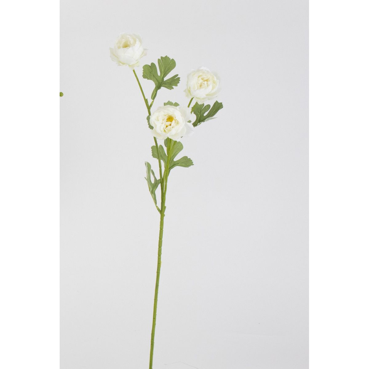 特価◎【造花】ビダヤコム/ハニーラナンキュラス ホワイト/V25044-001W