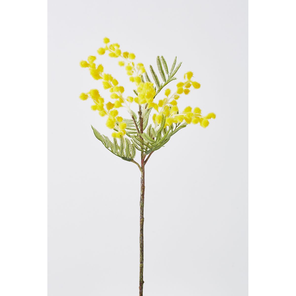 特価◎【造花】ビダヤコム/ミモザ イエロー/R1186-004Y