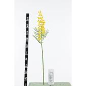 【造花】ビダヤコム/ミモザ イエロー/V24095-004Y