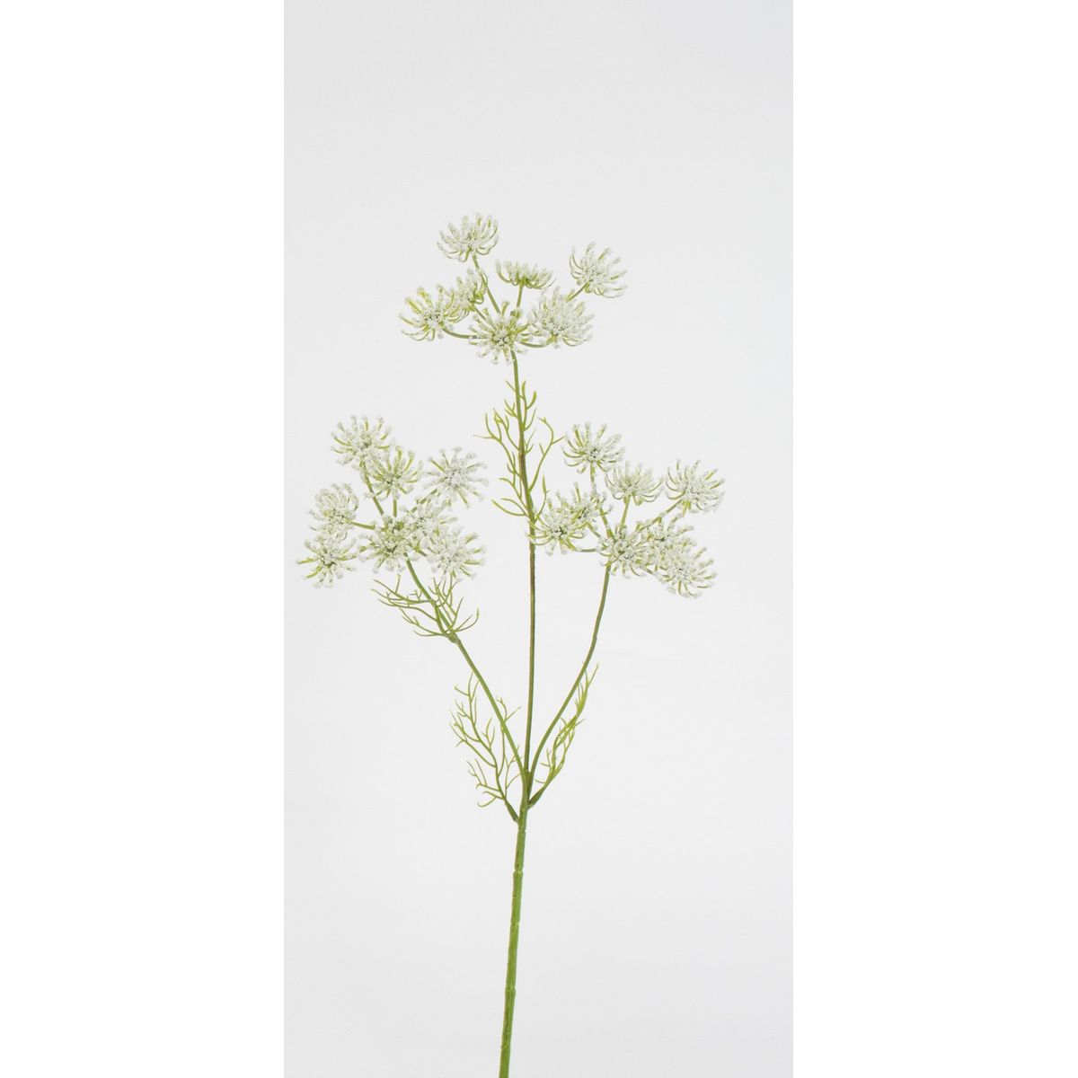 特価◎【造花】ビダヤコム/レースフラワー ホワイト/V25041-001W