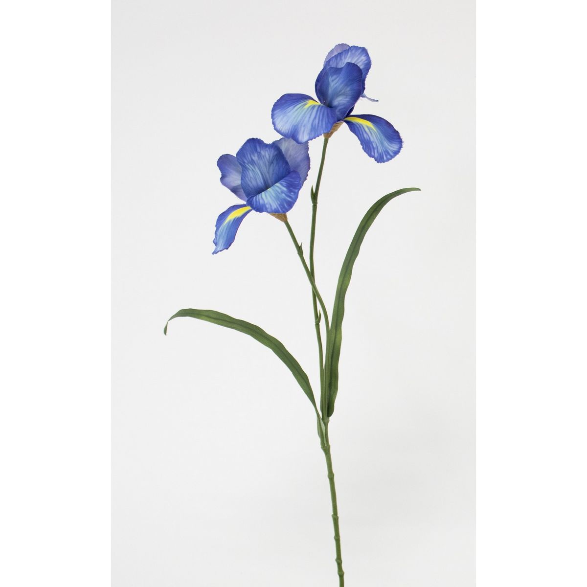 特価◎【造花】ビダヤコム/ツインアイリス ブルー/V25029-005B