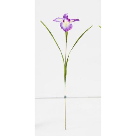 特価◎【造花】ビダヤコム/アヤメ ラベンダー/V25066-011L