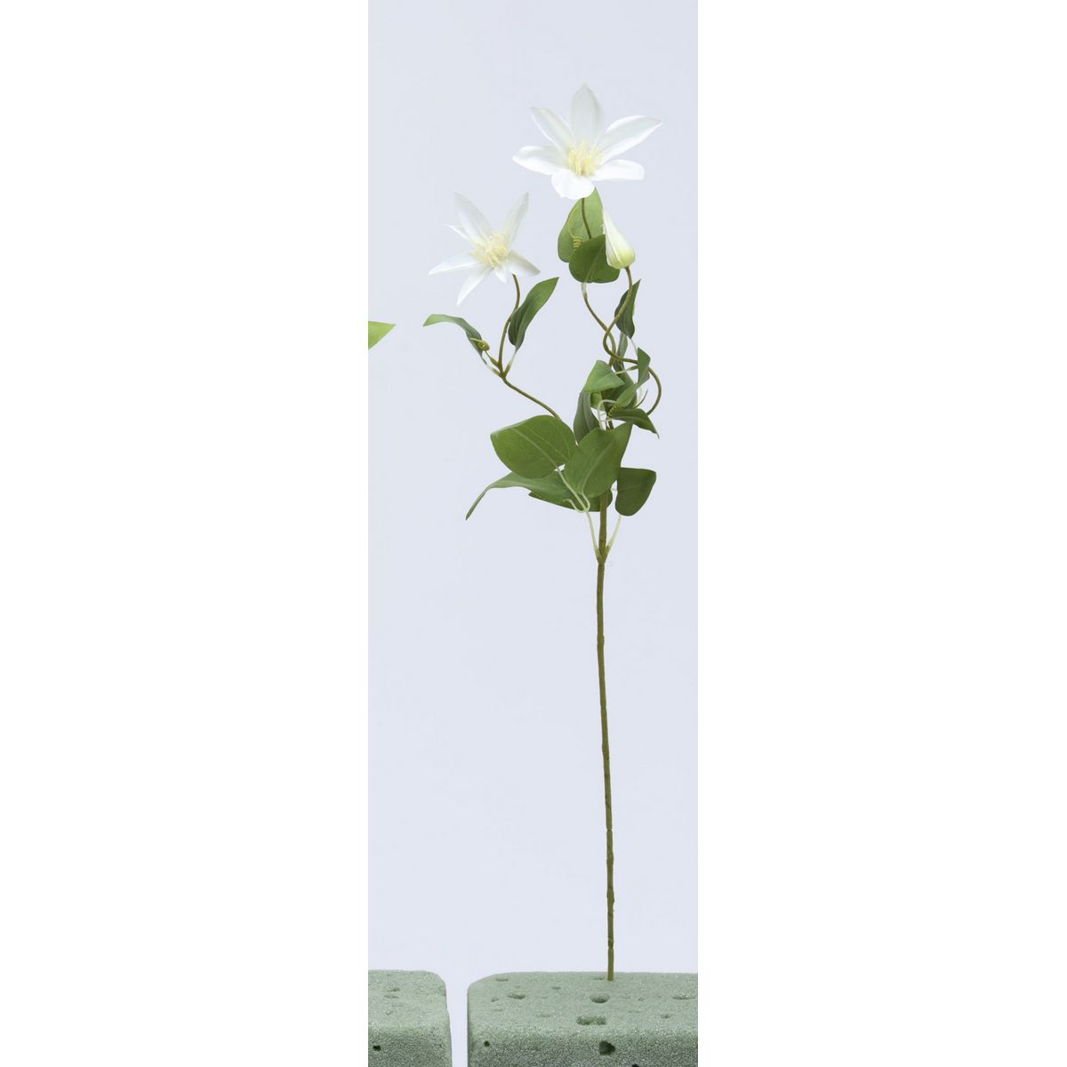 特価◎【造花】ビダヤコム/テッセン ホワイト/V24142-001W