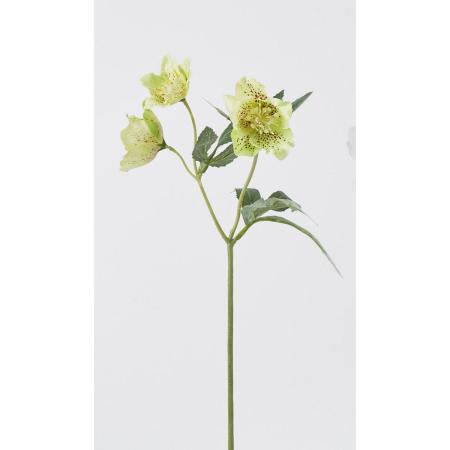 特価◎【造花】ビダヤコム/クリスマスローズ グリーン/FD3352-024G