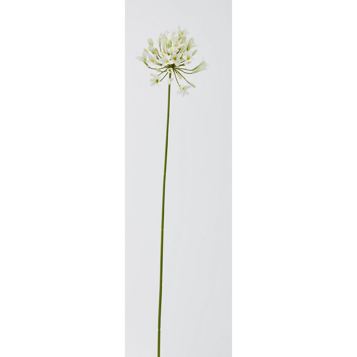 特価◎【造花】ビダヤコム/ツイストアガパンサス ホワイト/F5027-001W