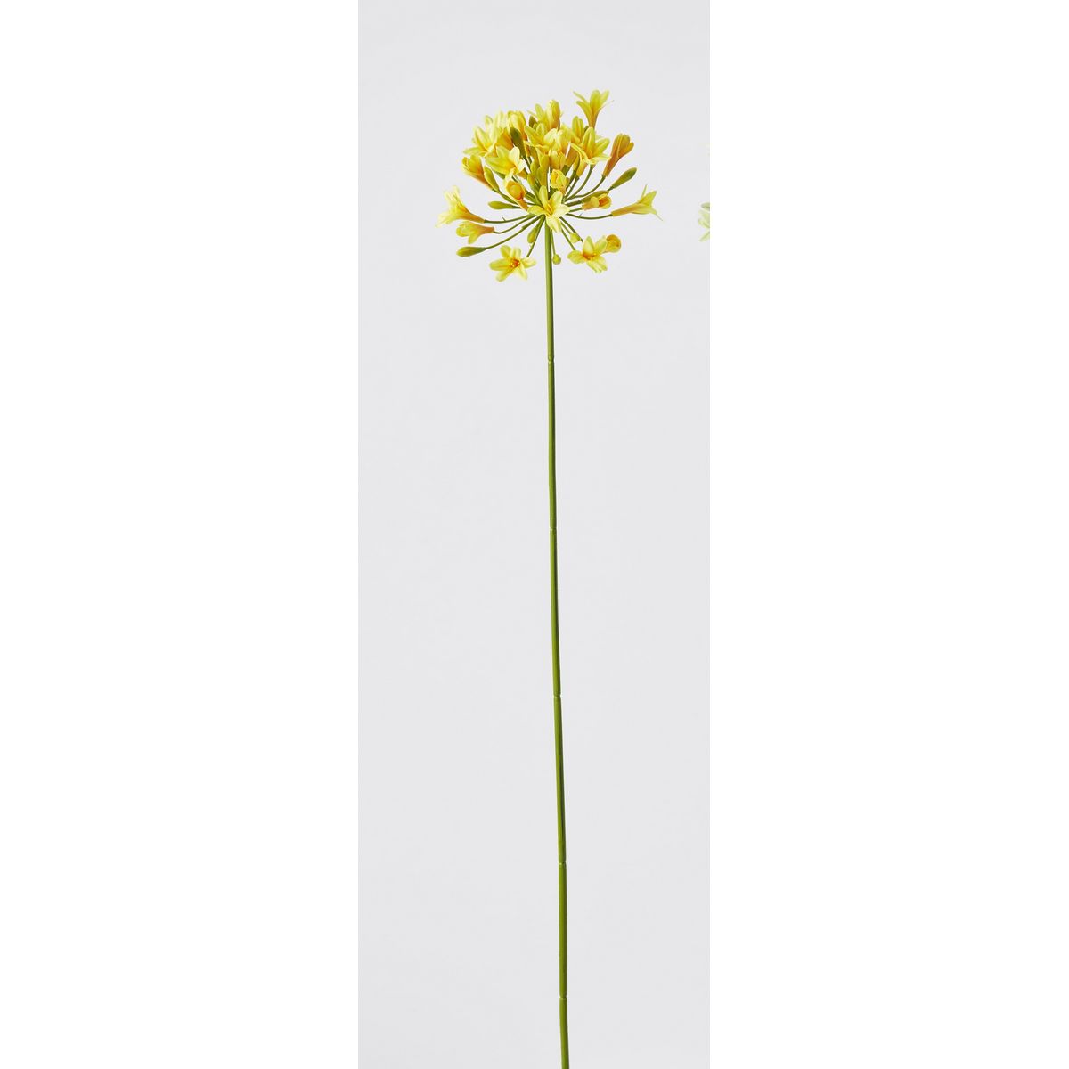 特価◎【造花】ビダヤコム/ツイストアガパンサス イエロー/F5027-004Y
