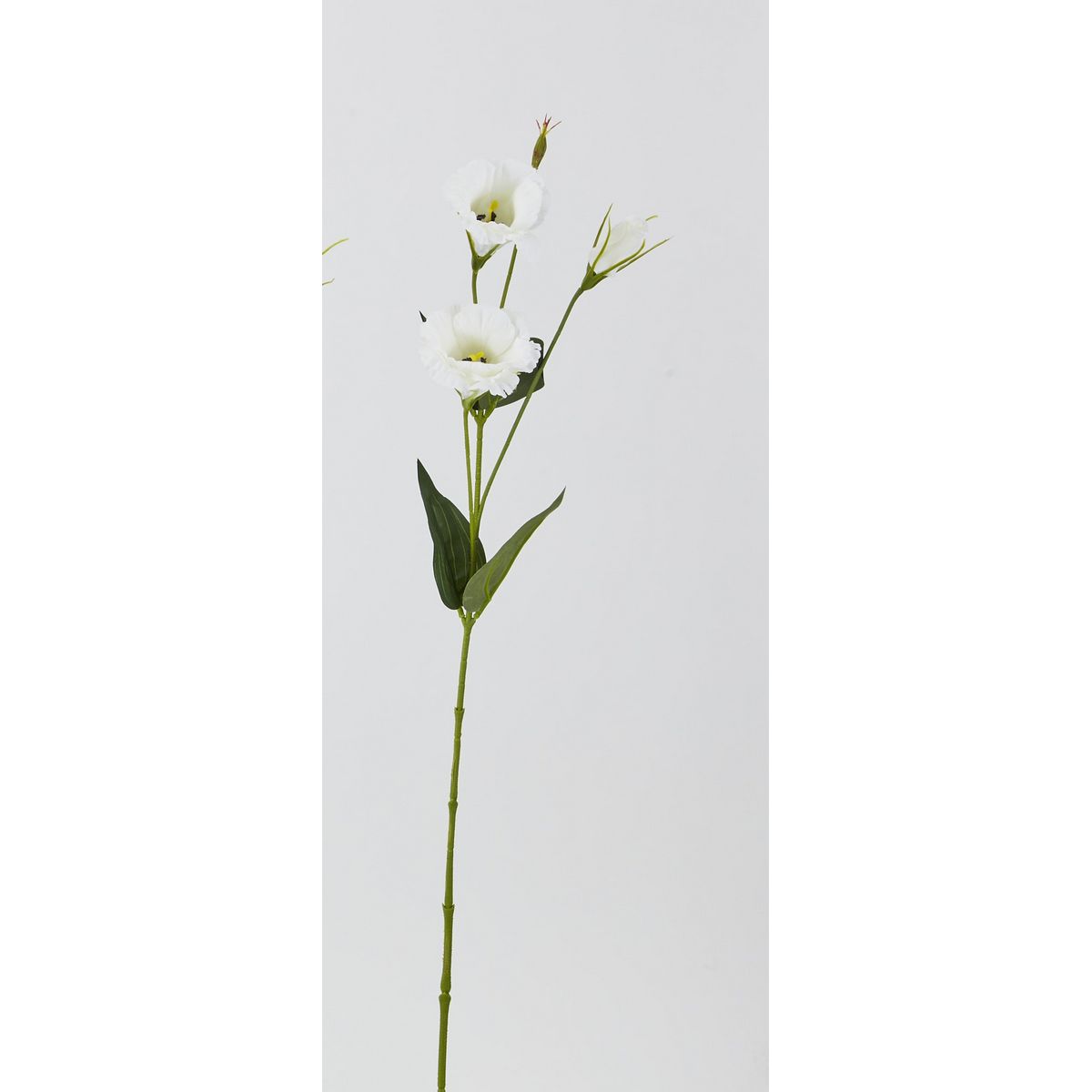 特価◎【造花】ビダヤコム/トルコ桔梗 クリーム/F5028-037C