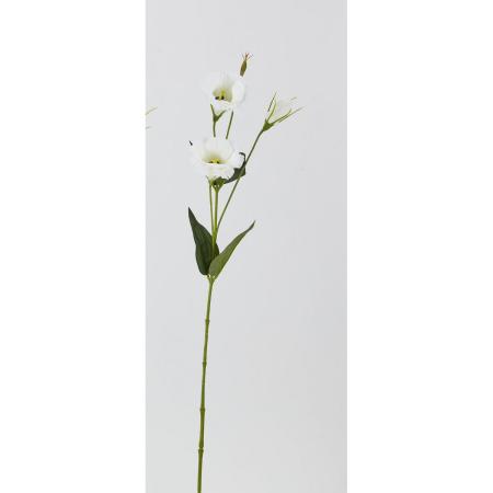 特価◎【造花】ビダヤコム/トルコ桔梗 クリーム/F5028-037C