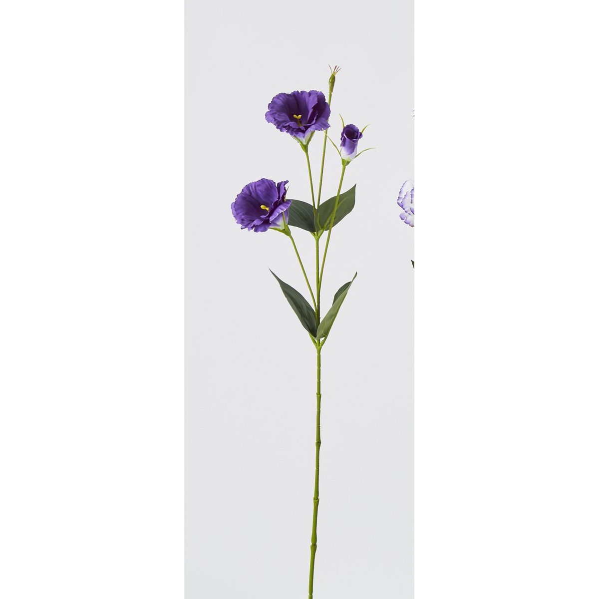 特価◎【造花】ビダヤコム/トルコ桔梗 パープル/F5028-017PP