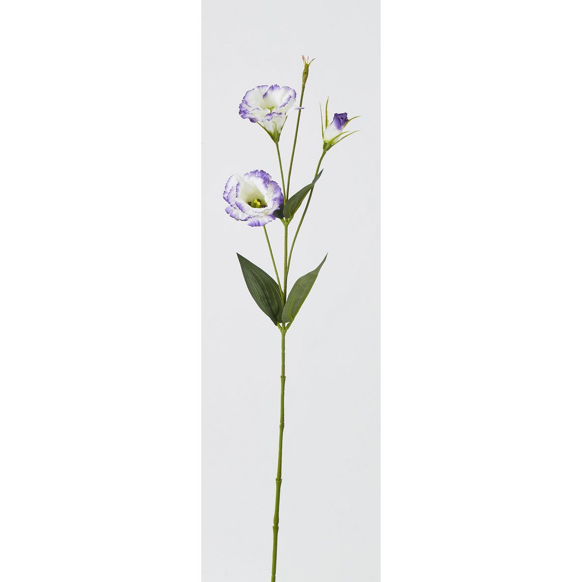 特価◎【造花】ビダヤコム/トルコ桔梗 パープル/ホワイト/F5028-245PP/W