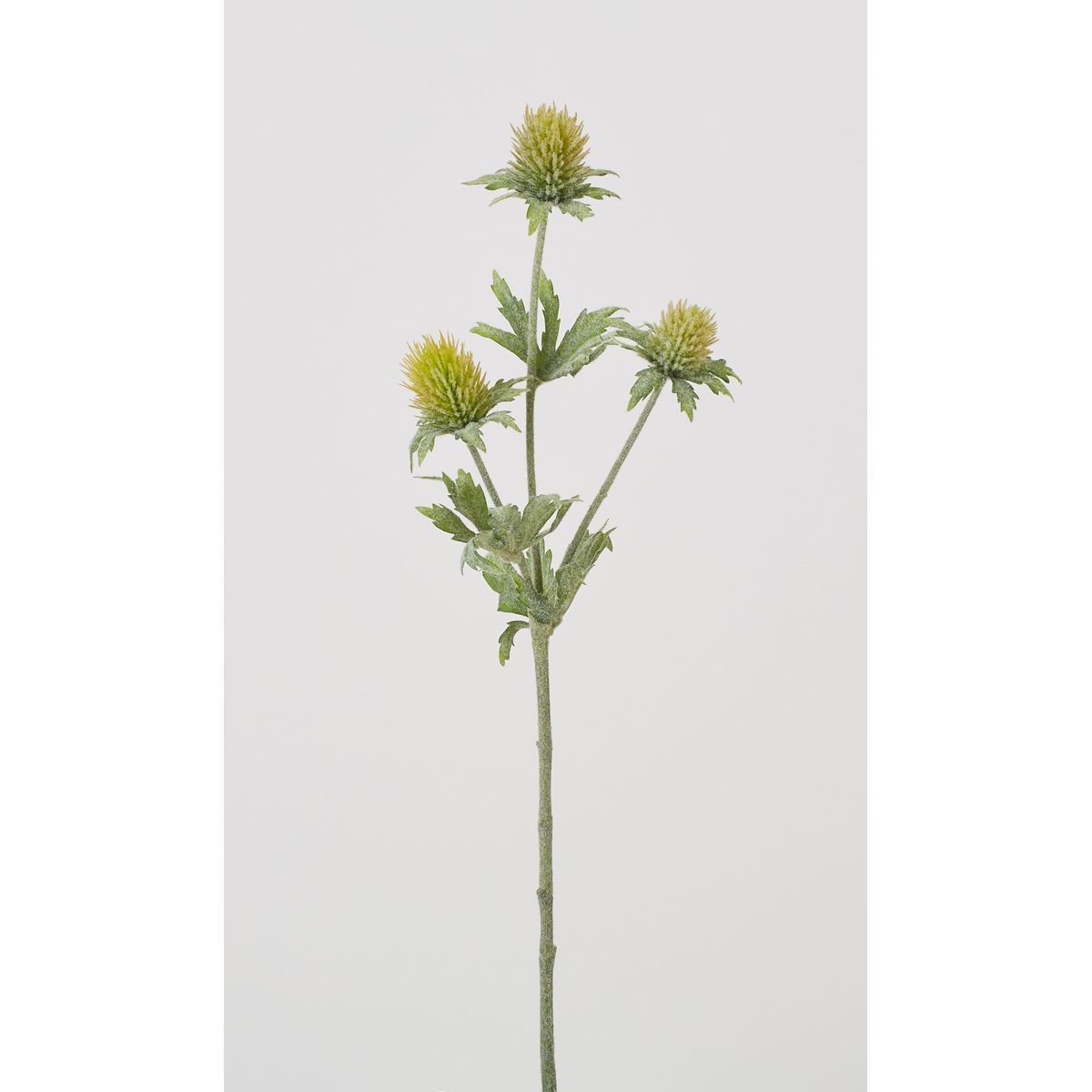 特価◎【造花】ビダヤコム/エリンジウム グリーン/FD3263-024G