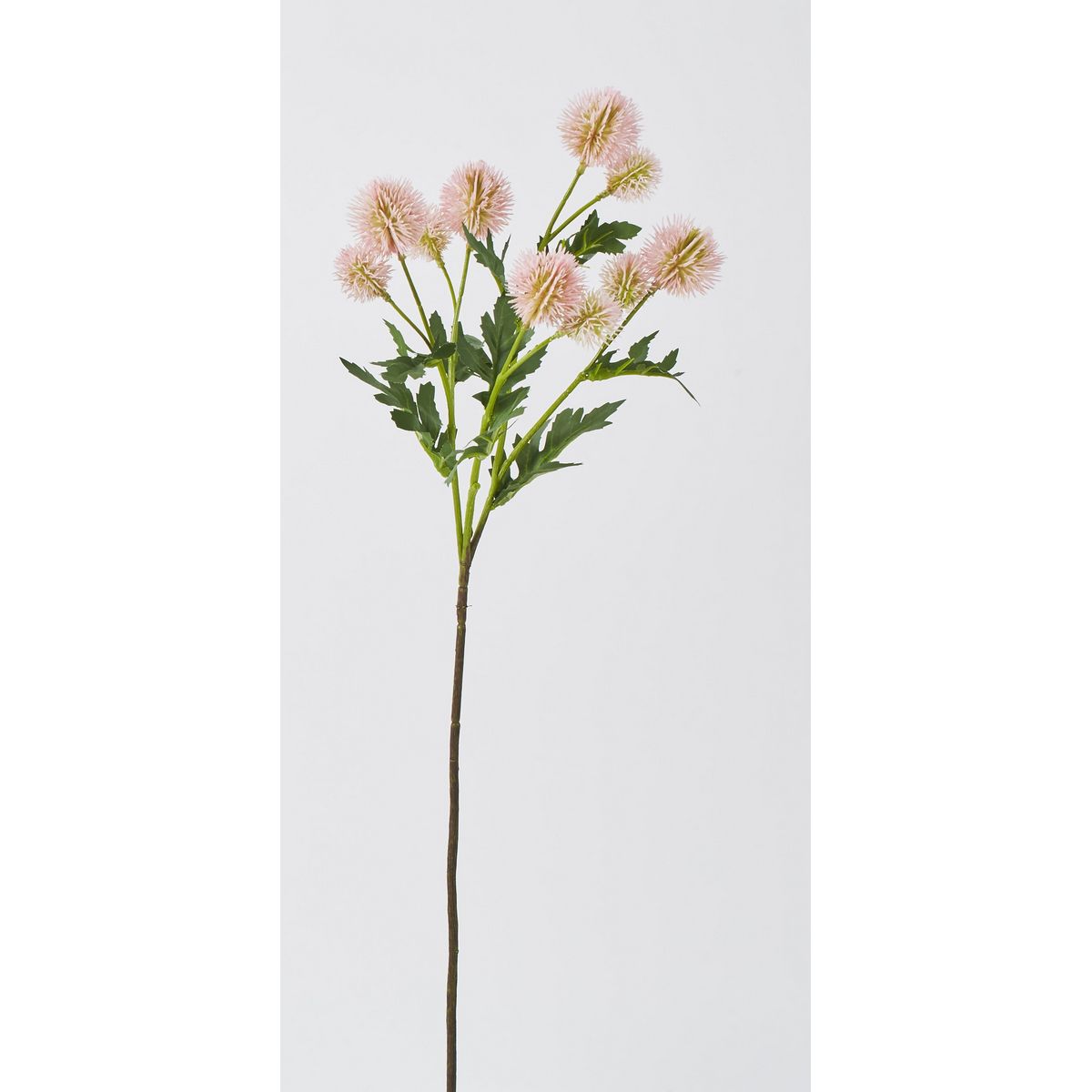 特価◎【造花】ビダヤコム/エキノプス ピンク/F5026-002P