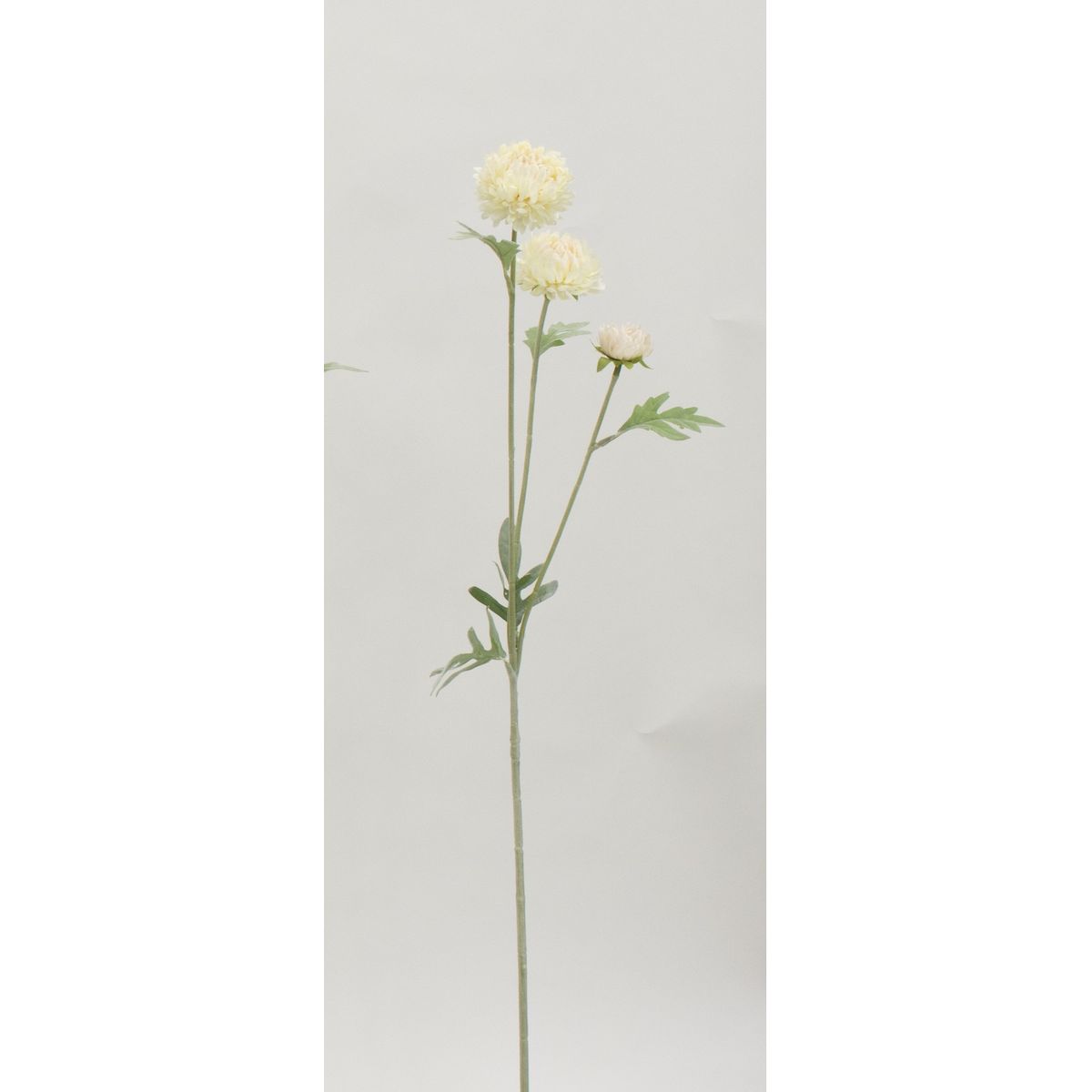 特価◎【造花】ビダヤコム/クリサンスマム クリーム/T0308-037C